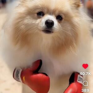 🪬🆒🔥☄️🧯🚒🫵🏼ALL DAY GIVEAWAY GIFTS 🎁